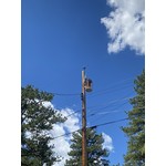 Distribution transformers