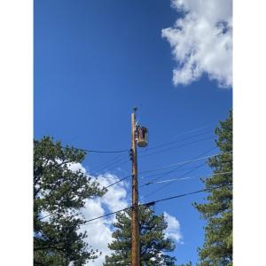 Distribution transformers