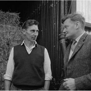 Post-harvest handling equipment